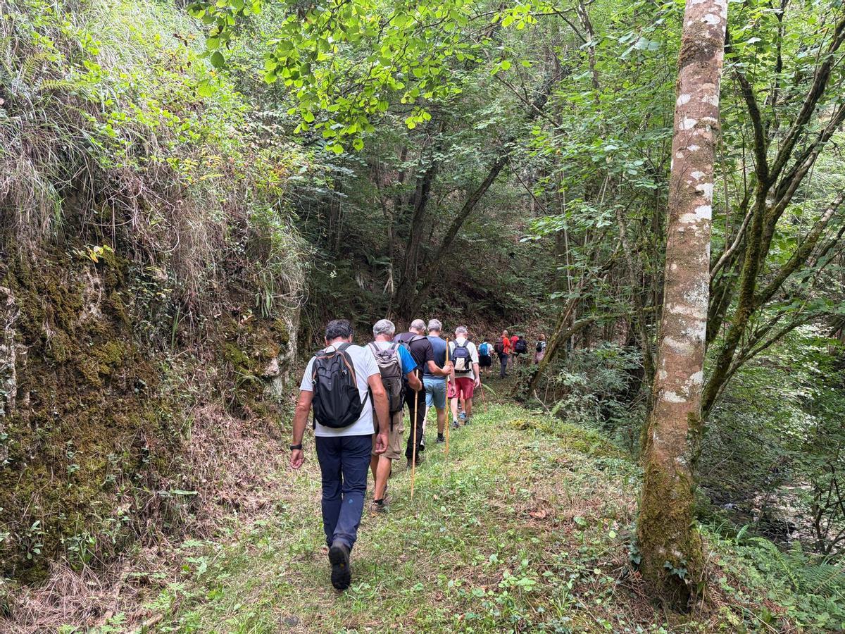La caminata con el Grupo Montañero Moscón, en imágenes La caminata con el Grupo Montañero Moscón, en imágenes