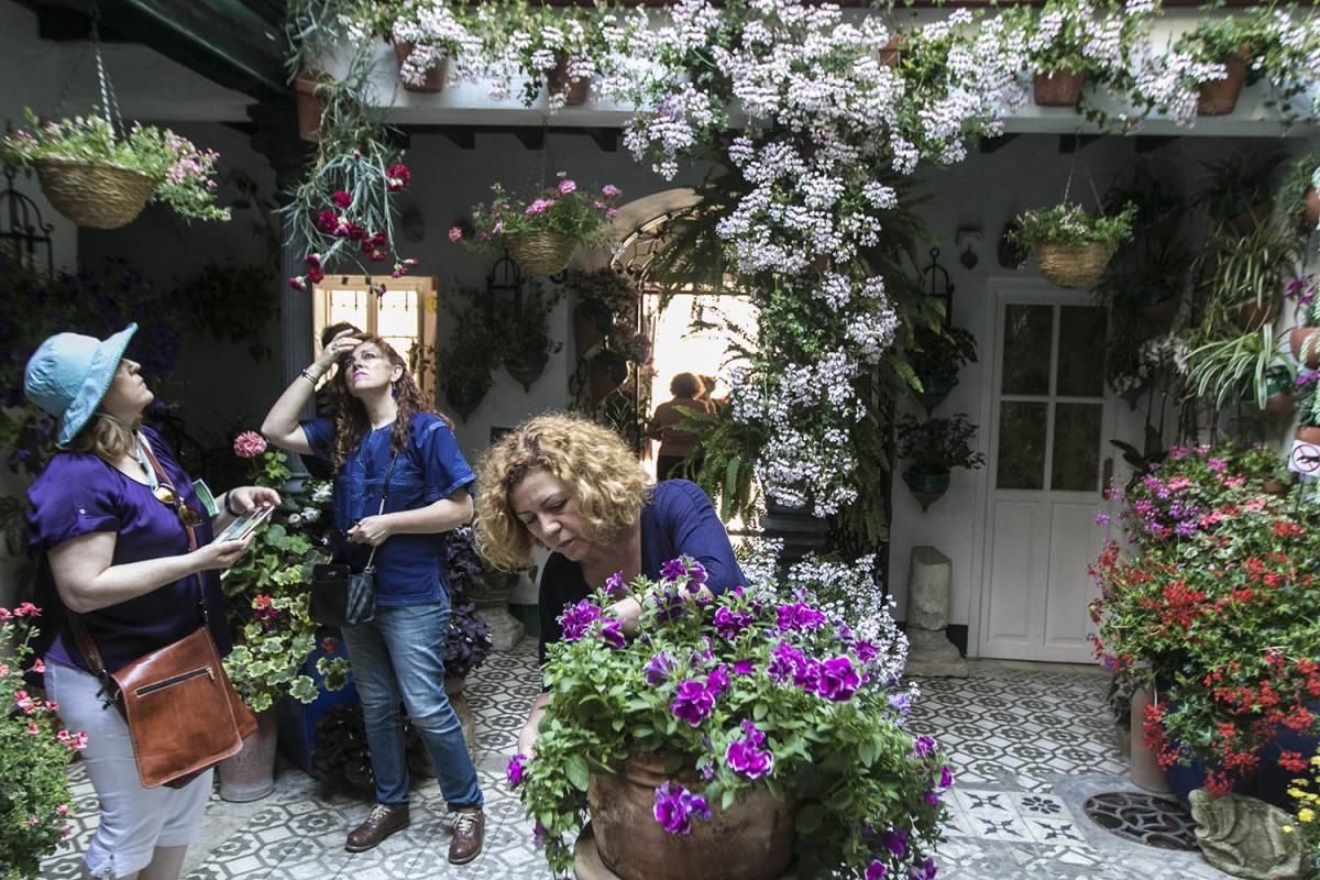 Fotogalería / Descubriendo los patios de la ruta Santiago-San Pedro