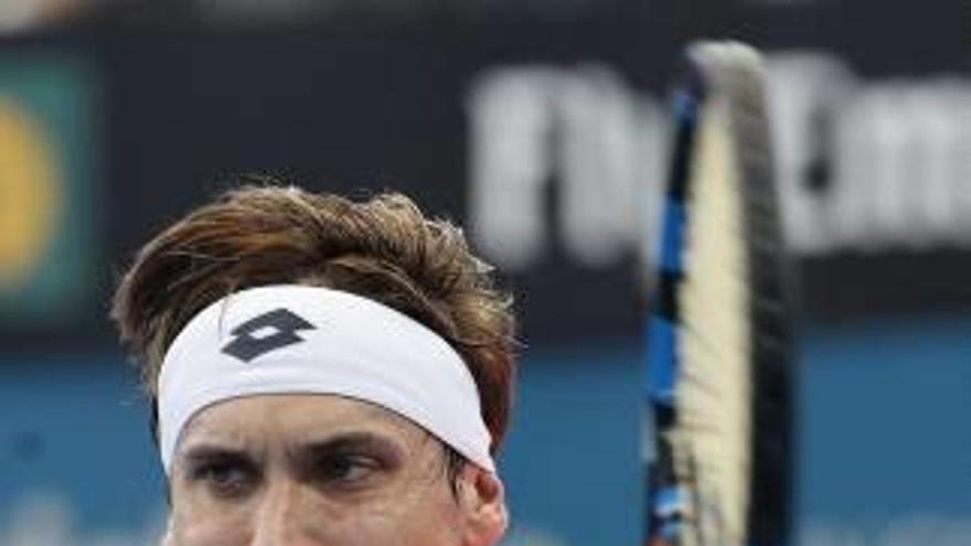 David Ferrer este año en Brisbane.