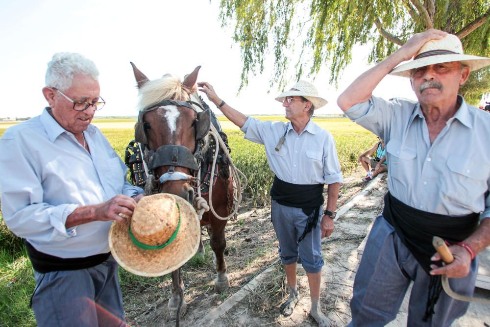 Fiesta de la Siega del Arroz