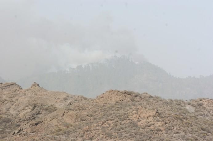 .INCENDIO. EN GRAN CANARIA