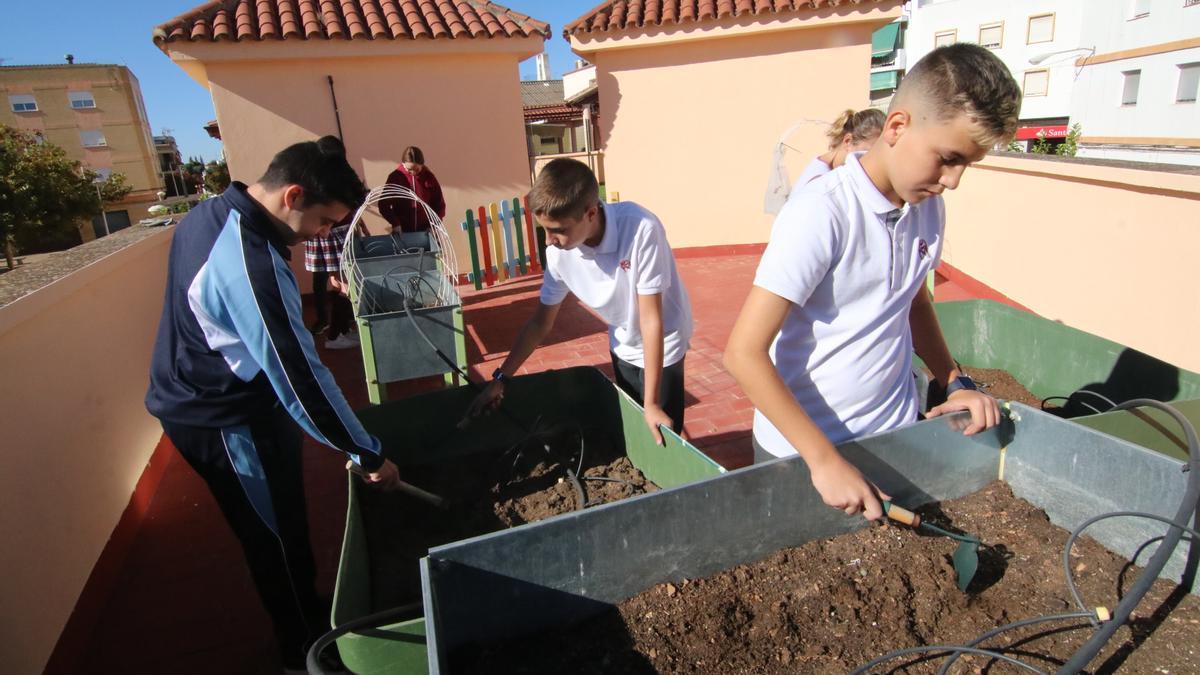 Los estudiantes comparten el proyecto al igual que el resto de la comunidad educativa.