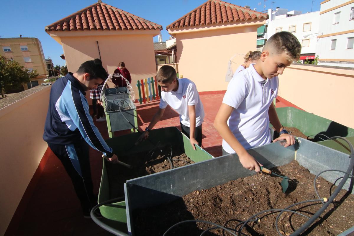 Los estudiantes comparten el proyecto al igual que el resto de la comunidad educativa.
