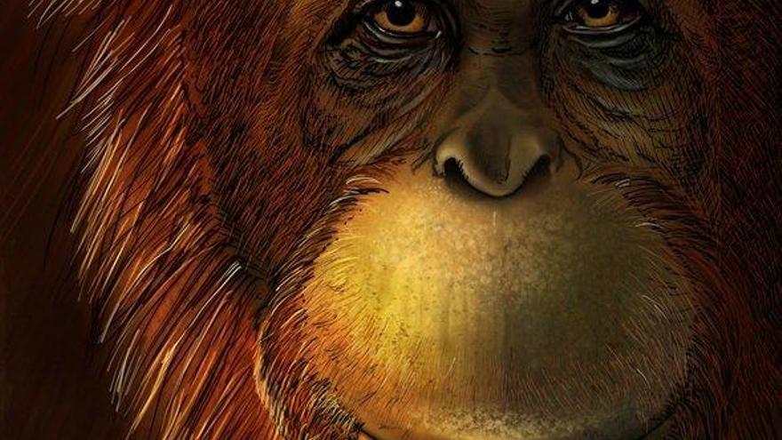 Proteínas fósiles descifran el linaje de un misterioso primate extinto