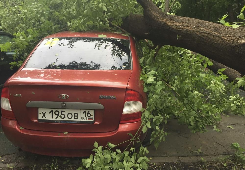 Un fuerte temporal de lluvia y vientos huracanados causó hoy la muerte de al menos once personas en Moscú, casi todos por caídas de árboles.