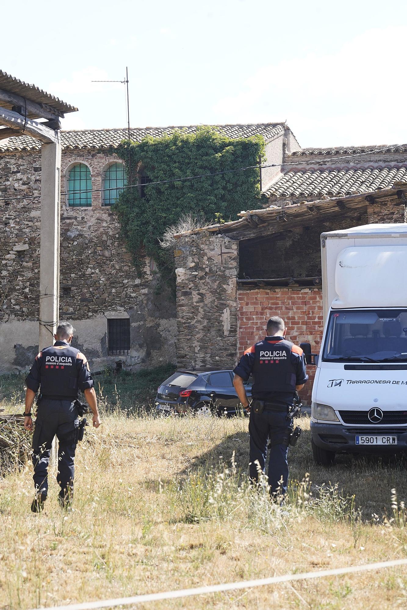 Plantació de marihuana en un mas de Quart