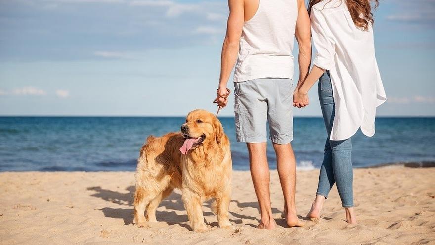 Archivo - Una pareja pasea a su perro en la playa