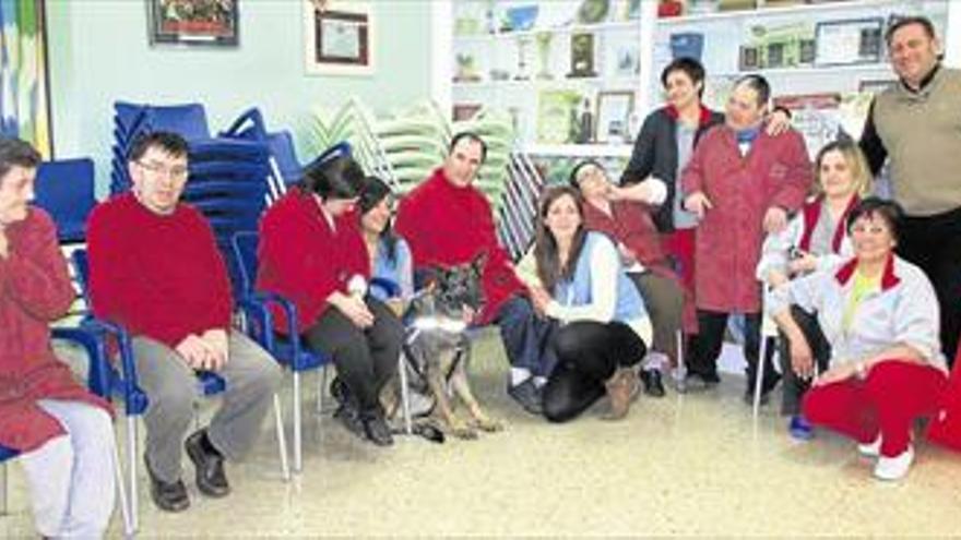 Benicarló descubre el poder terapéutico de los perros