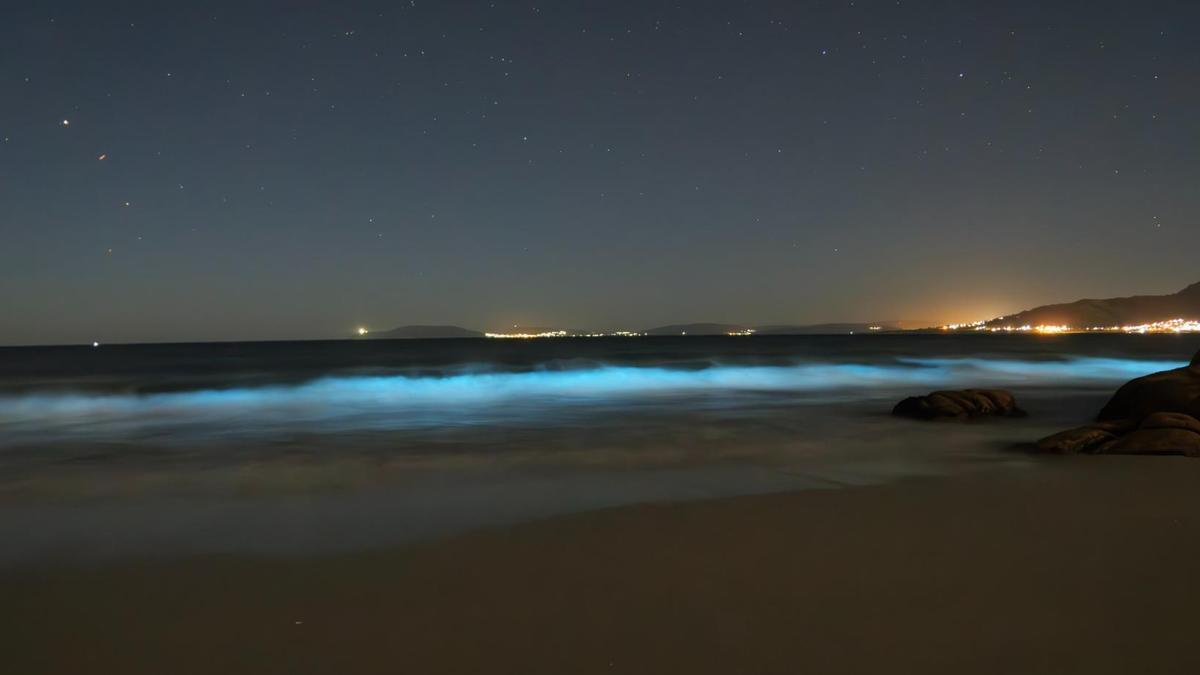 El fenómeno del mar de ardora en la Playa de Carnota