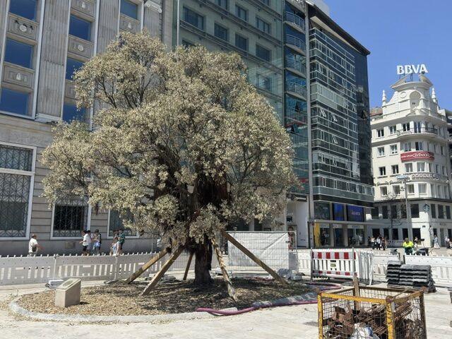 El metrosidero del Cantón Grande de A Coruña