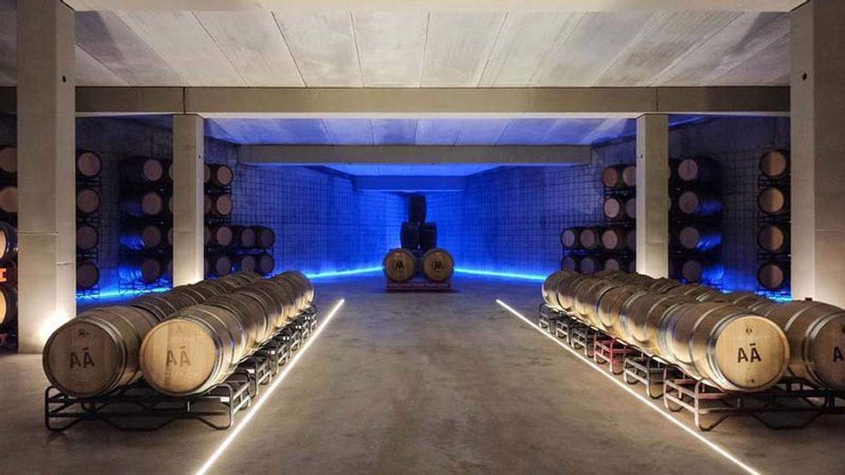 Espacio diáfano, de luz tenue y temperatura y humedad constante donde descansan los vinos más expresivos.