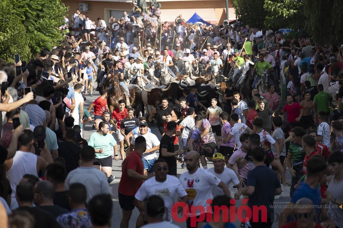 El segundo encierro de las Fiestas de Moratalla se salda con un herido