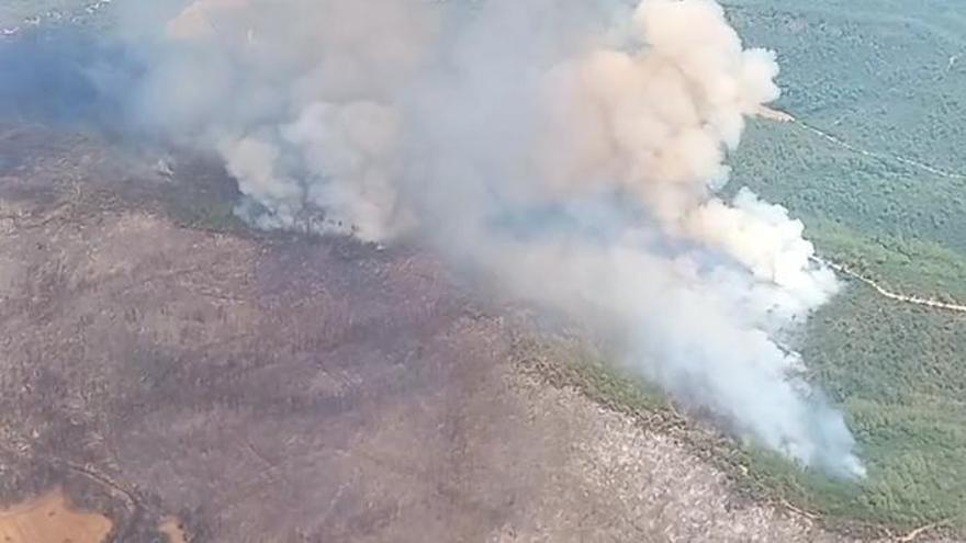 Vídeo: Imatges aèries de l'incendi que està cremant les Gavarres