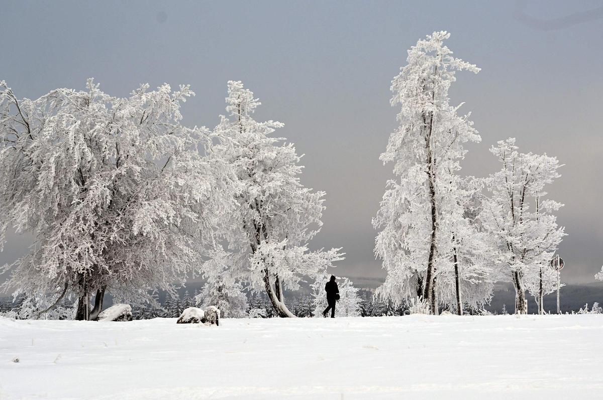 Paisaje cubierto de nieve en la montaña Kahler Asten cerca de Winterberg, Alemania occidental