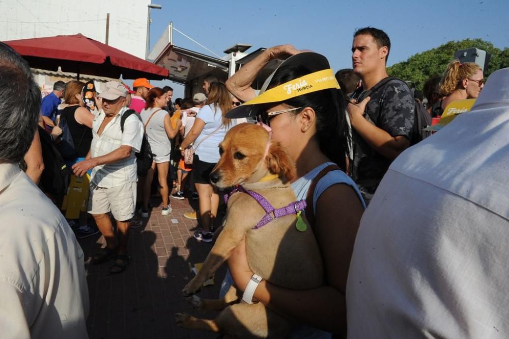 Romería de la Virgen de la Fuensanta: Paso por San