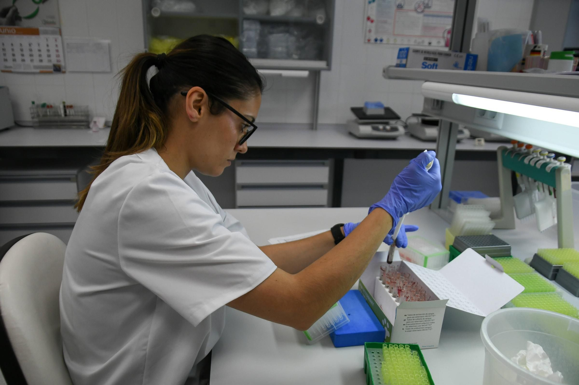 GALERÍA | Así trabaja el Laboratorio de Sanidad Animal de Zamora