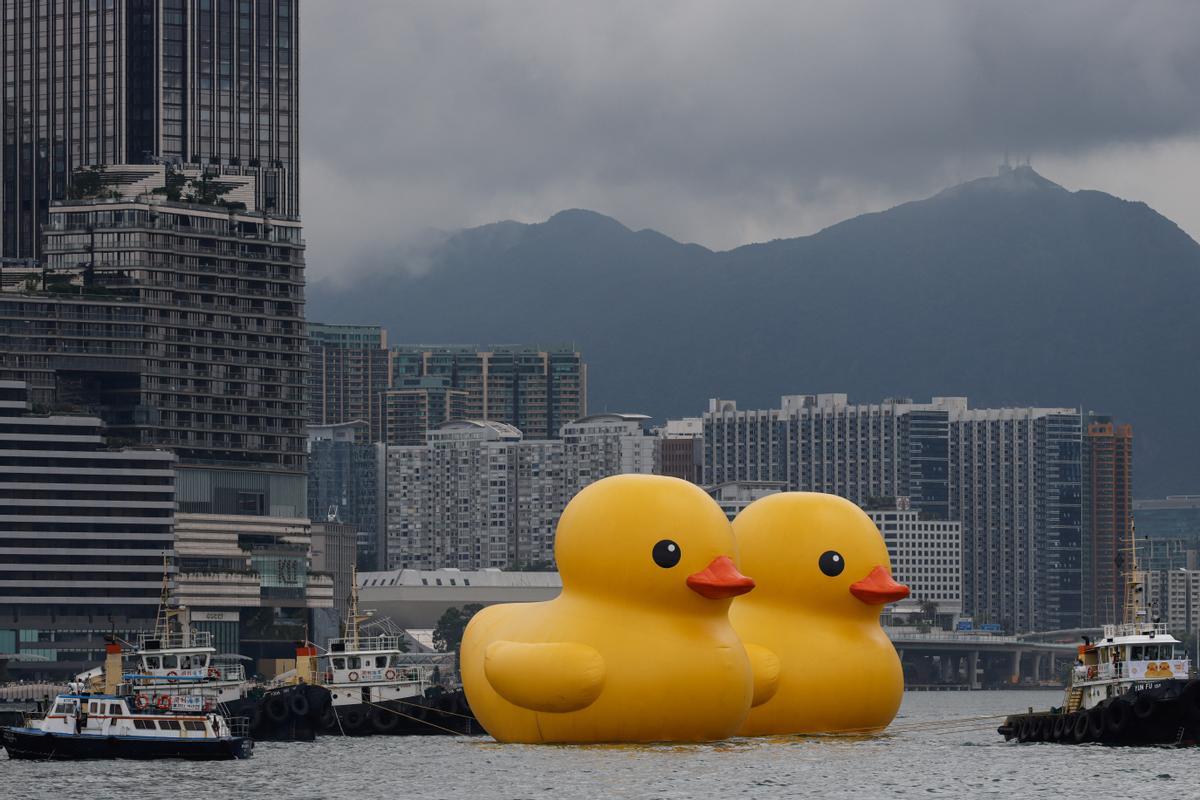 Los patos de goma del artista Florentijn Hofman, en el puerto de Hong Kong