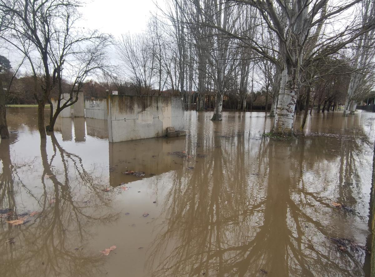 El Prado de las Pavas de Benavente durante el fin de semana.