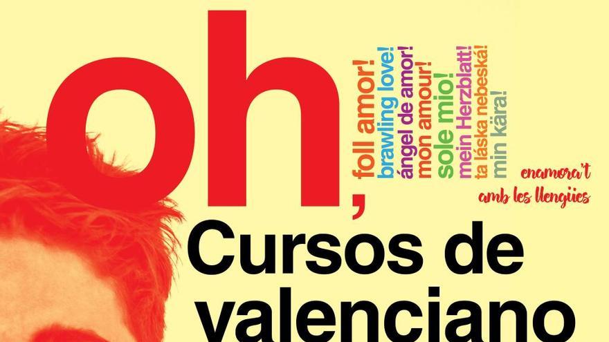 La UA oferta nuevos cursos de valenciano en sus sedes de Elda, Torrevieja y Villena