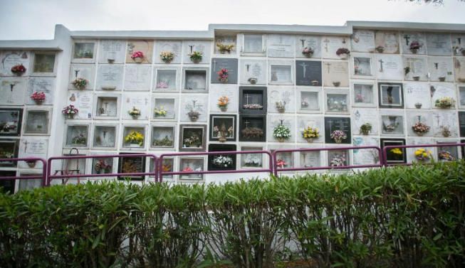 Cementerio de San Luis, en La Laguna