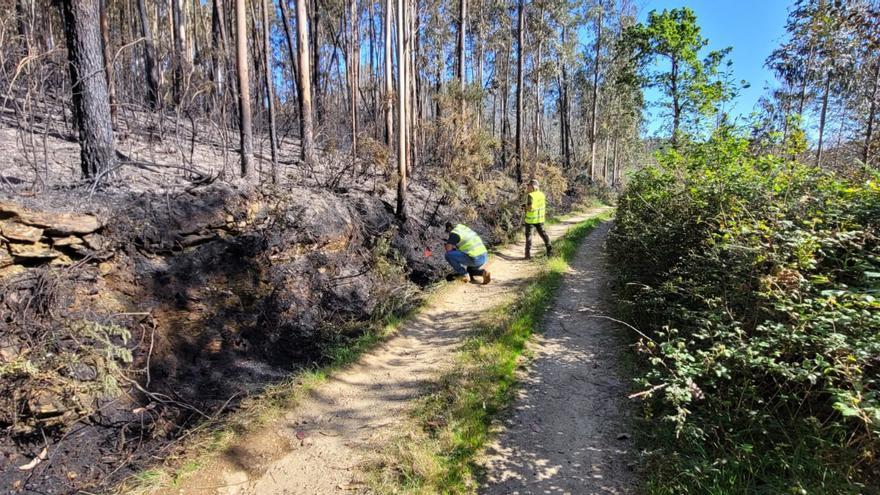 Estabilizado el incendio en Cerdedo-Cotobade tras calcinar 30 hectáreas