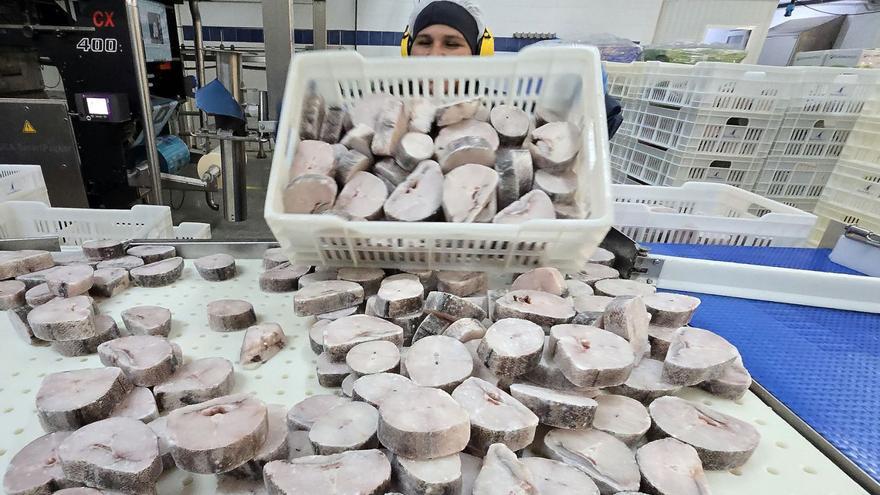 Una operaria vacía una caja de merluza congelada en una línea de procesamiento. | Marta G. Brea