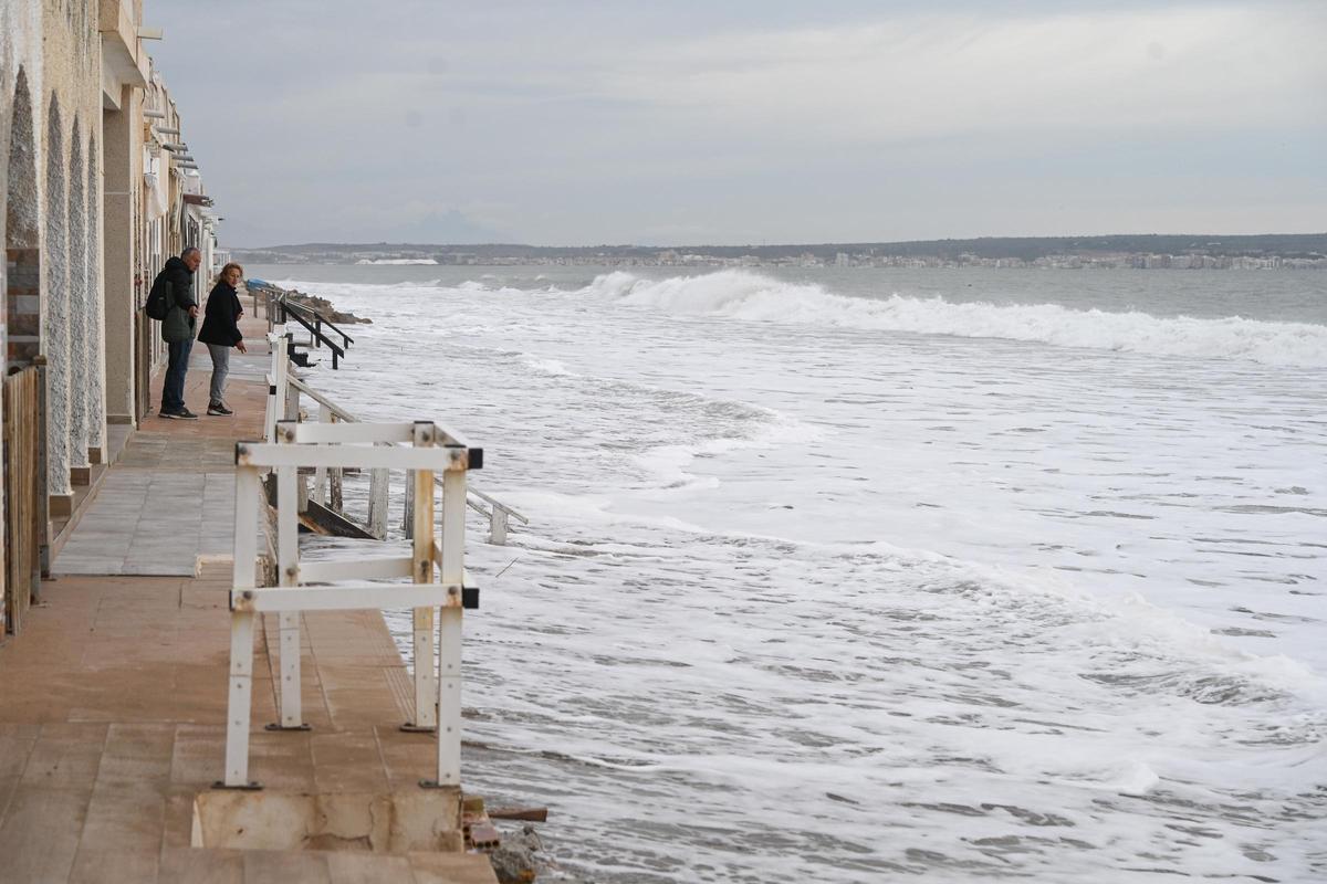 Un mar embravecido por el temporal Harry engulle playas en Elche y amenaza a las casas de primera línea de El PInet