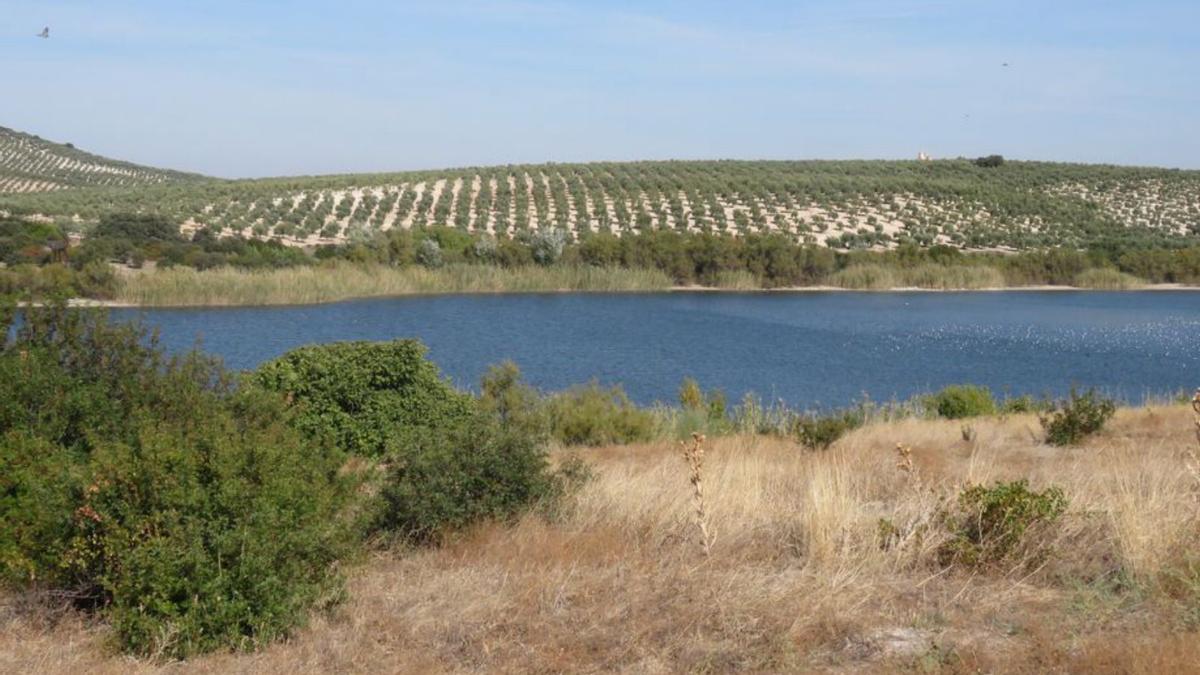 Laguna de Zoñar, donde se aprecian orillas desprovistas de vegetación lacustre.