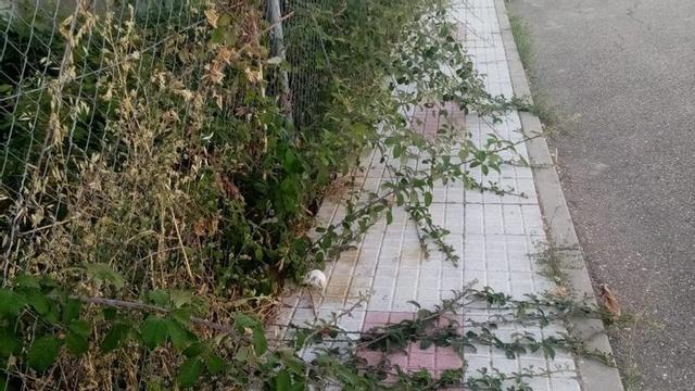 Estado de la calle en la zona denunciada por IU.  | E. P.