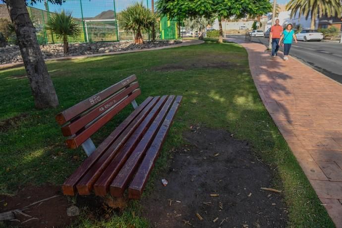 PLAGA DE PULGAS EN CARRIZAL