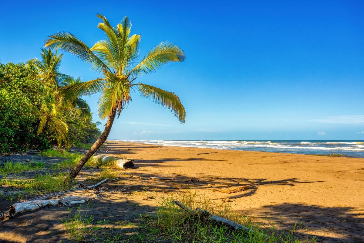 La playa salvaje de Tortuguero, en Costa Rica