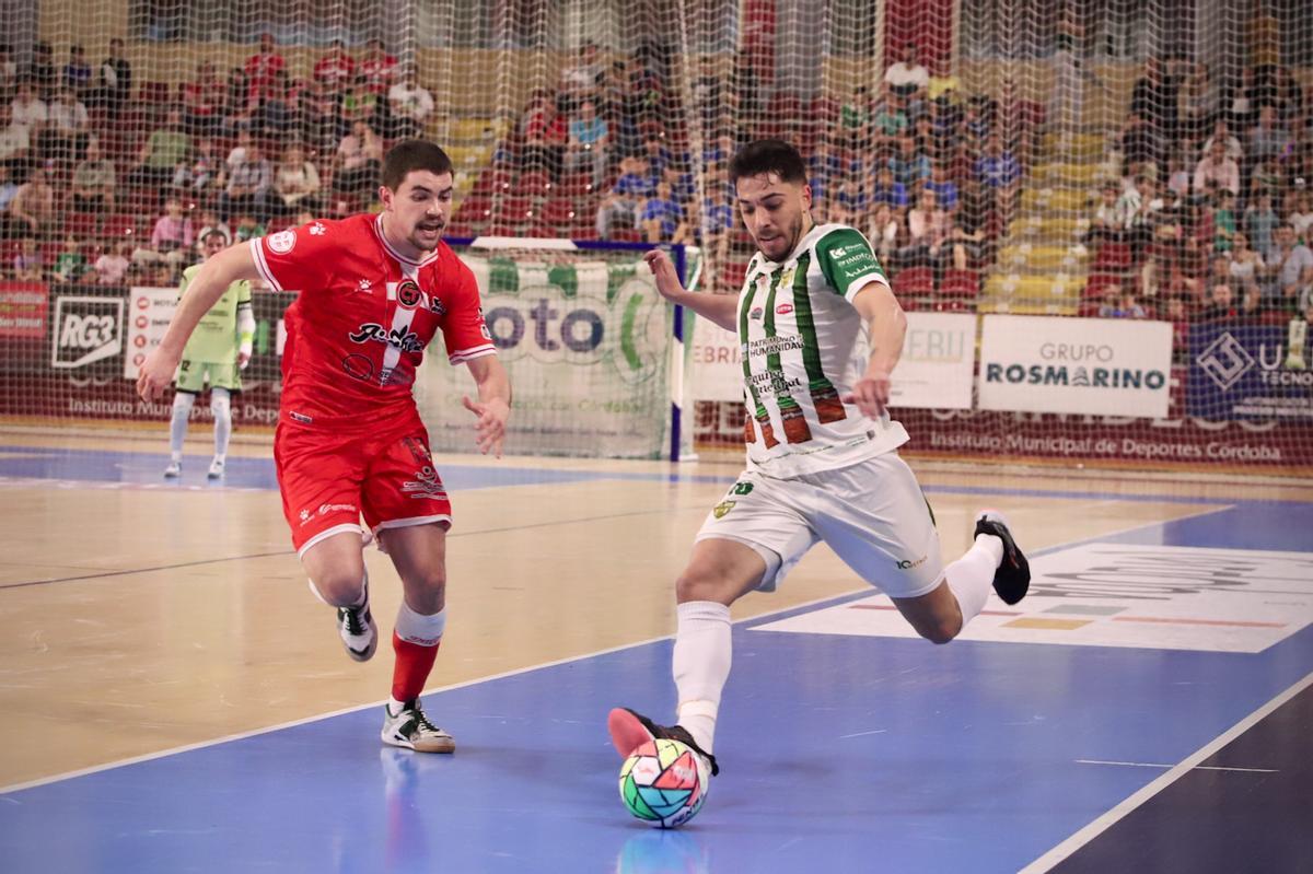 Córdoba Futsal-Jimbee Cartagena: el partido de Vista Alegre en imágenes Córdoba Futsal-Jimbee Cartagena: el partido de Vista Alegre en imágenes