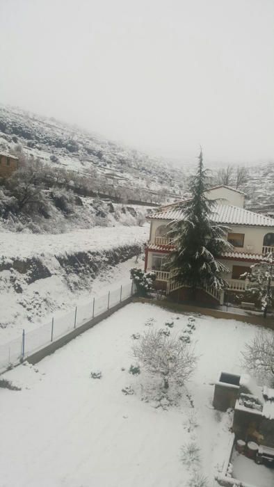 La nevada caída hoy en Portell.