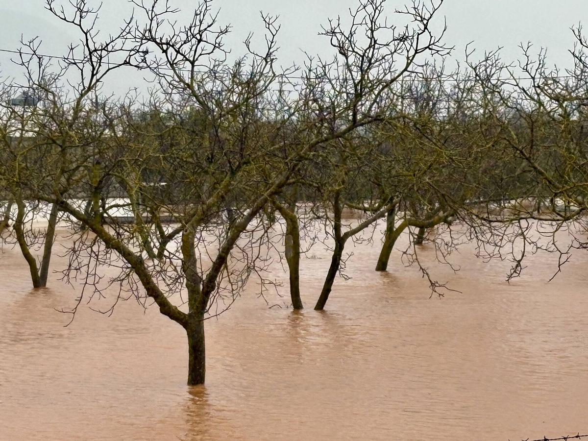 Inundaciones en Ronda por el paso de la borrasca Leonardo
