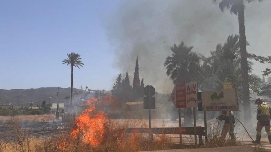 Bomberos de Murcia frenan el avance de un incendio en Ronda Sur y evitan que el fuego llegue a las viviendas