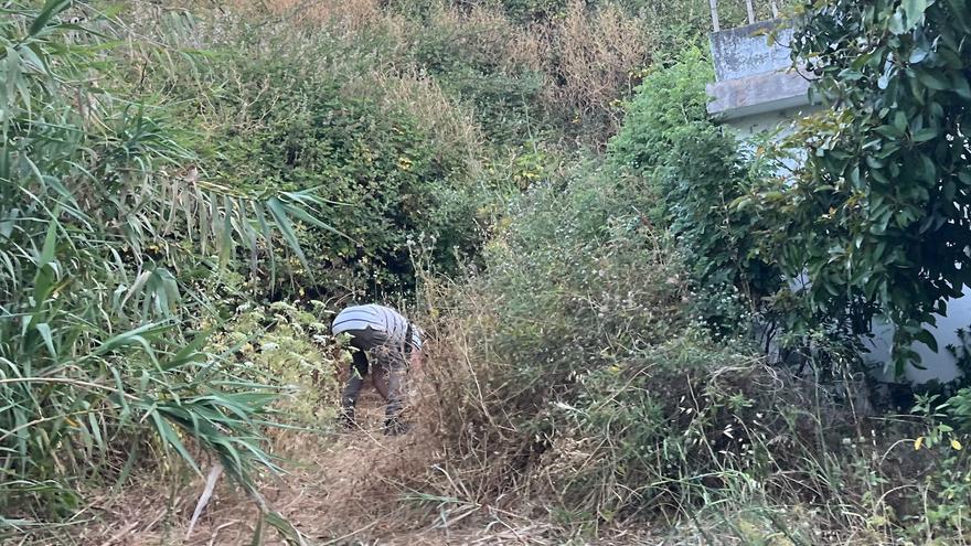 Sorprendido 'in fraganti' mientras intentaba incendiar el monte en Canarias
