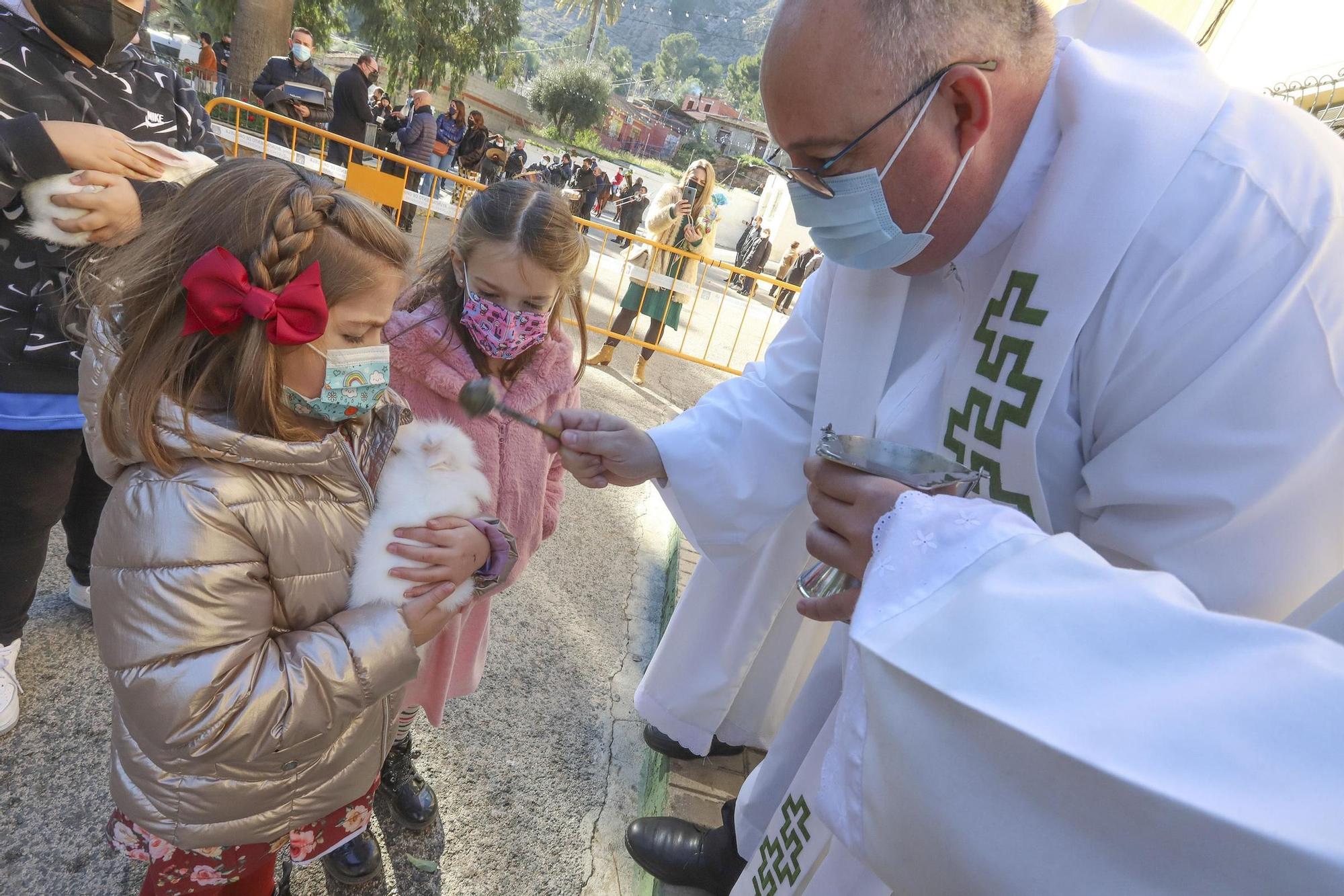 Orihuela: un San Antón con mascarilla