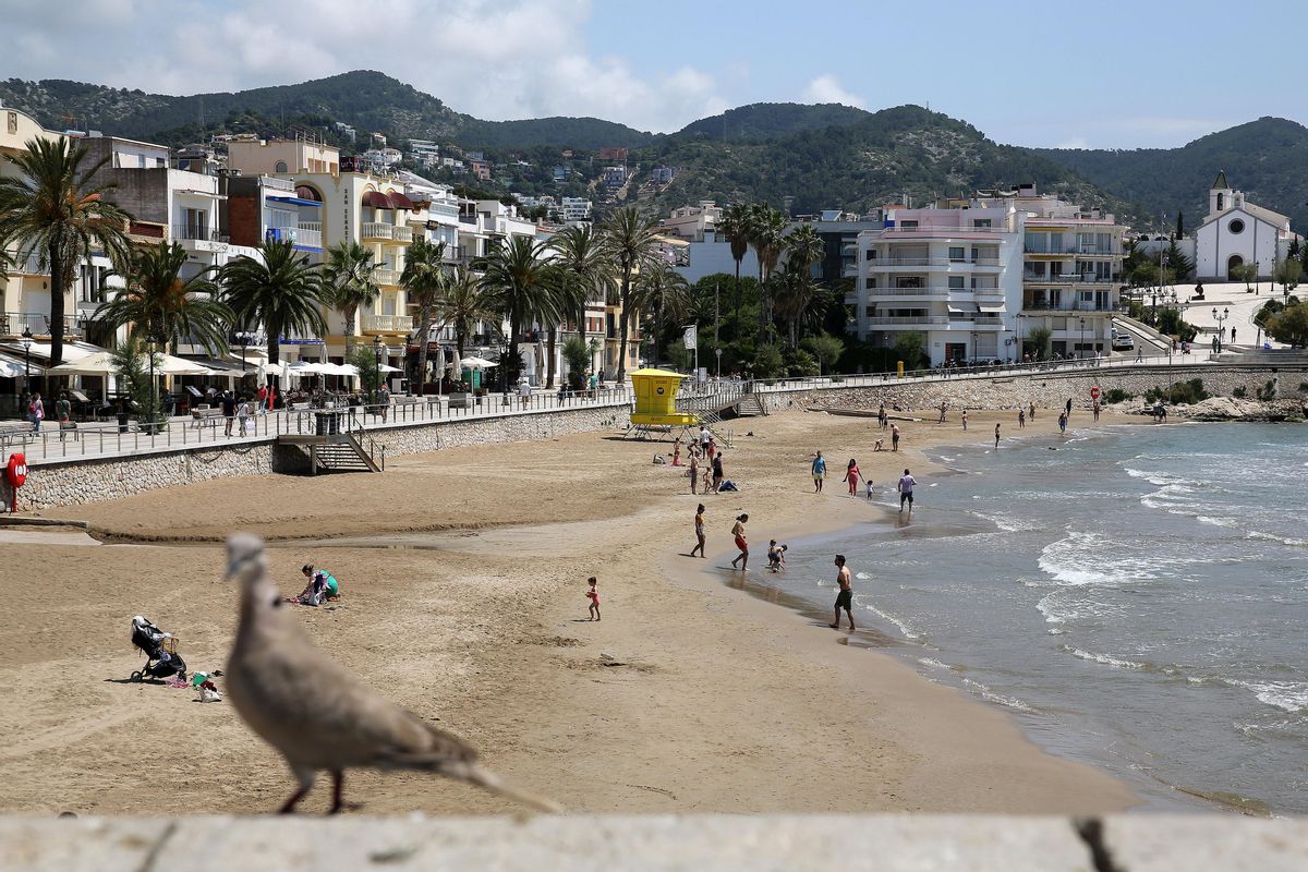 Desallotjada la platja de Sitges per un tauró Desallotjada la platja de Sitges per un tauró