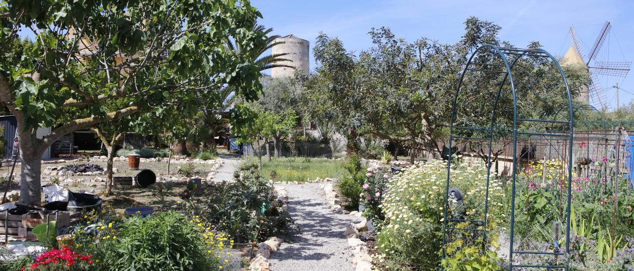 Eine private Oase, die bald der Stadt Manacor gehört: der Garten der Familie Bokhari-Scheibling.
