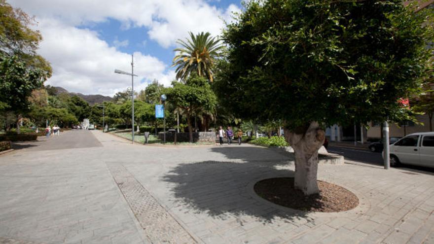 Parque García Sanabria, en Santa Cruz de Tenerife.