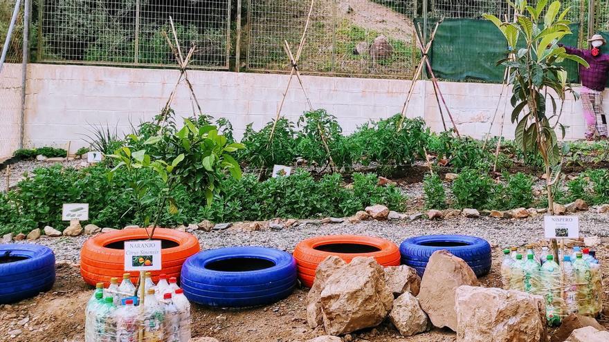 Más de 2.000 alumnos de Infantil y Primaria de Rincón participan en un proyecto de huertos escolares