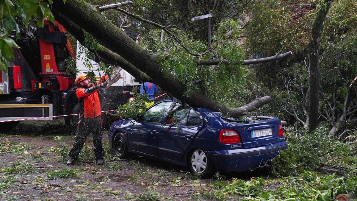 Un árbol destrozó un coche en el Campus Vida de Santiago.