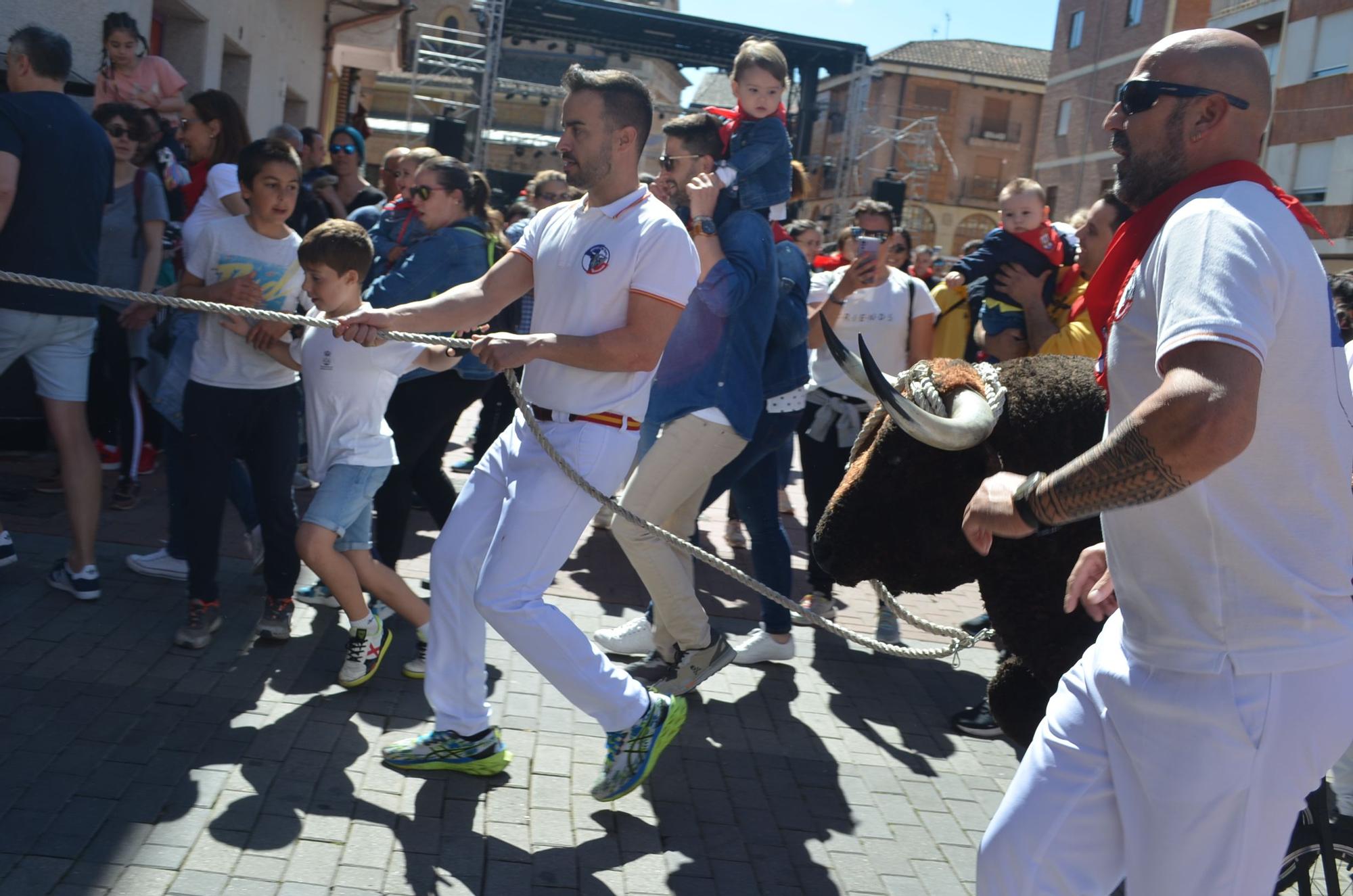 GALERÍA | Fiestas de la Veguilla en Benavente 2023