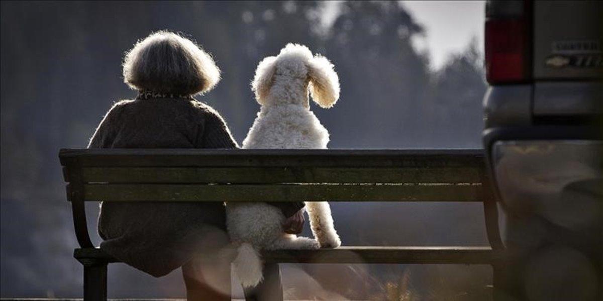 zentauroepp21774357 a woman sits on a park bench with her dog along the waterfro190111171606