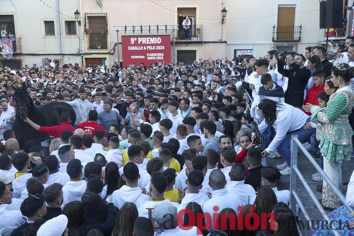 Entrega de premios del concurso de 'Caballo a pelo' en Caravaca