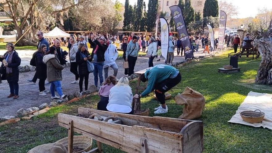 Las mejores imágenes de la Fira de la Flor d'Ametller de Son Servera