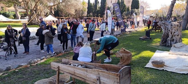Las mejores imágenes de la Fira de la Flor d'Ametller de Son Servera