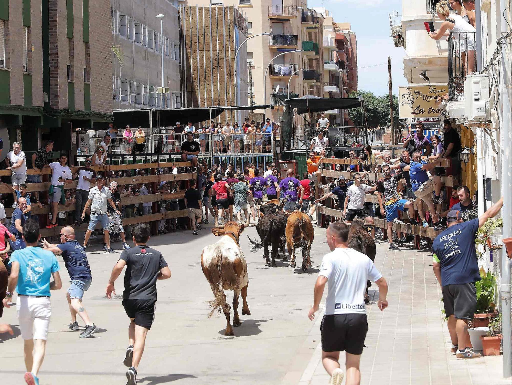 El Grau da inicio a las fiestas de Sant Pere con pólvora, bous y música