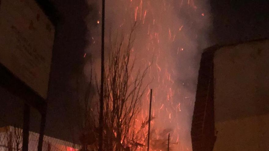 Prenden fuego a un árbol junto a los juzgados de Mula