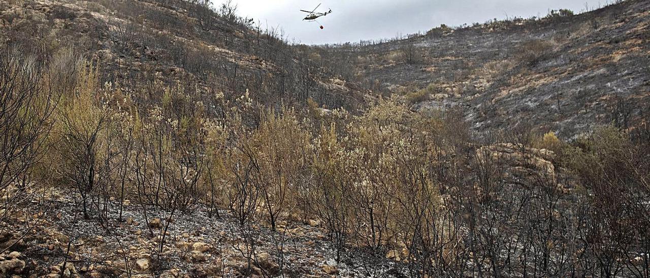 Zona de monte calcinada entre Rafelguaraf y Barxeta, con un helicóptero de extinción al fondo. | J. M. LÓPEZ